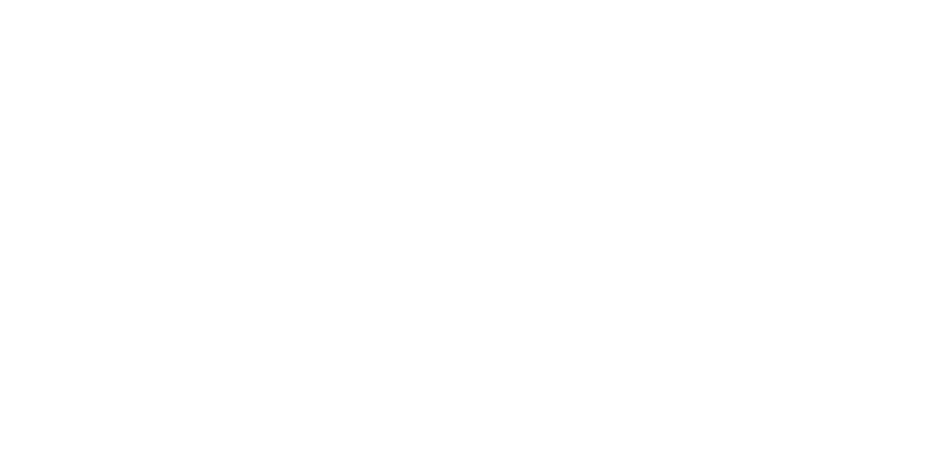 BAU Media